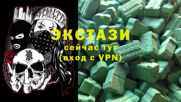 крисы Коряжма