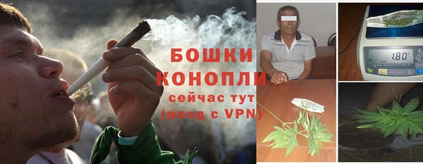 сатива Костерёво