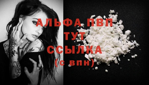 сатива Костерёво