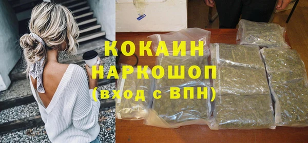 крисы Коряжма