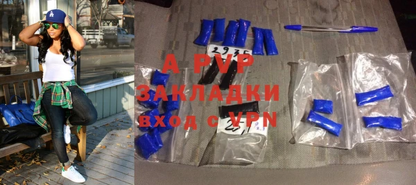 крисы Коряжма
