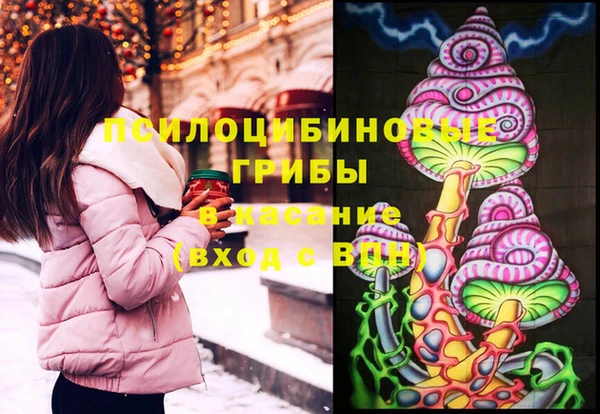 крисы Коряжма