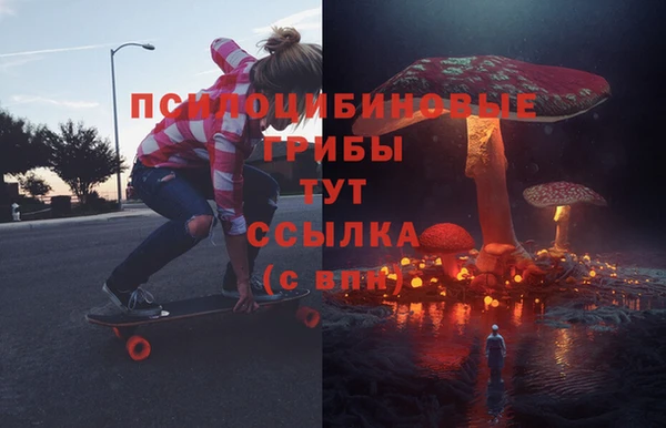 крисы Коряжма