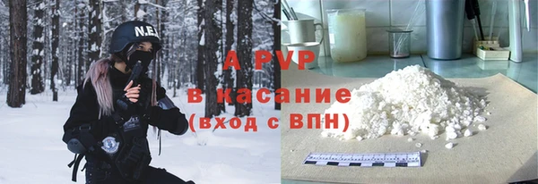 сатива Костерёво