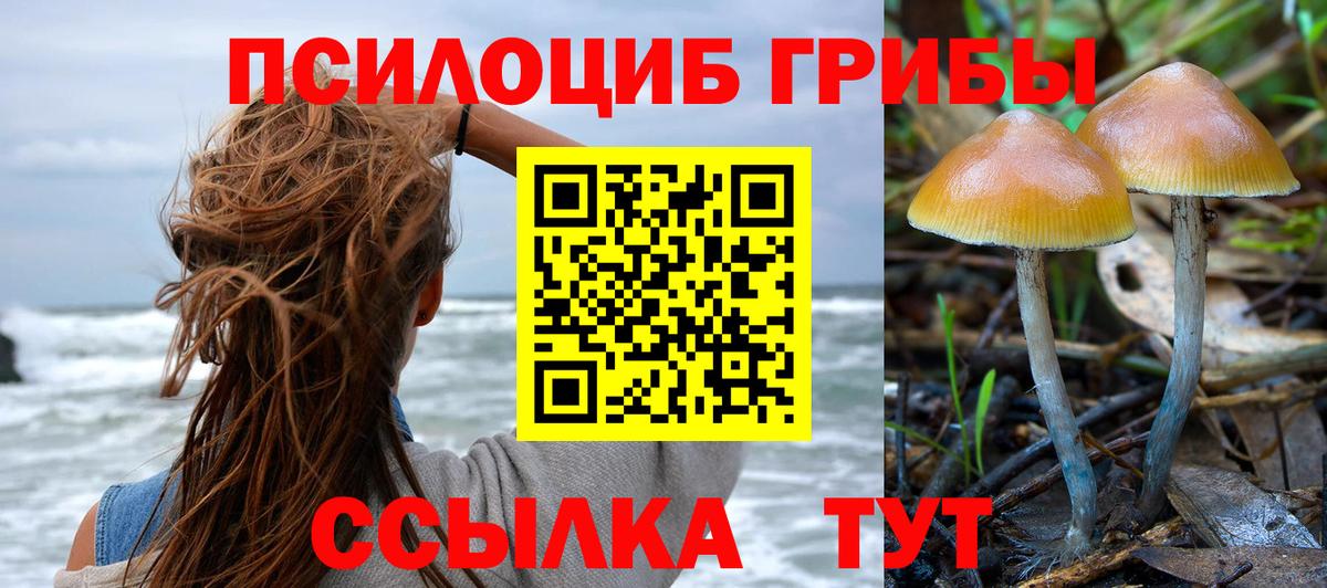 наркотики  Лесной  Галлюциногенные грибы MAGIC MUSHROOMS 