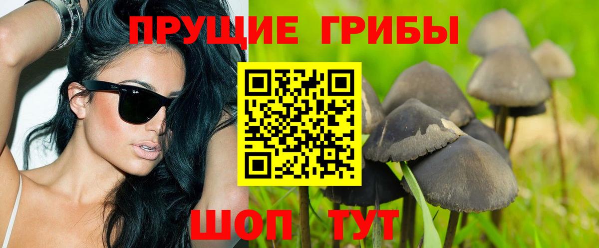 Галлюциногенные грибы мицелий Лесной